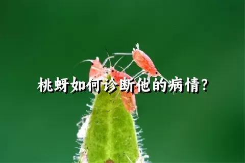 桃蚜如何诊断他的病情？