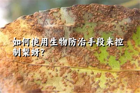 如何使用生物防治手段来控制梨蚜？