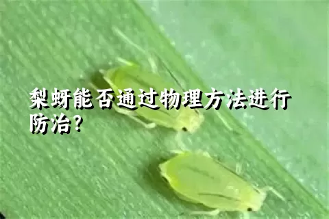 梨蚜能否通过物理方法进行防治？