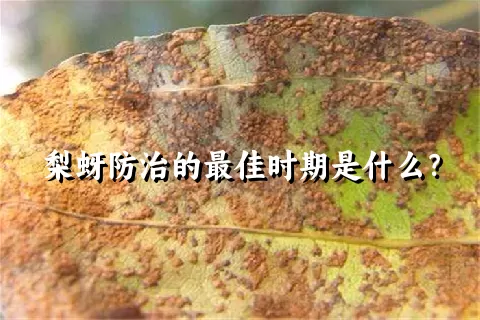 梨蚜防治的最佳时期是什么？