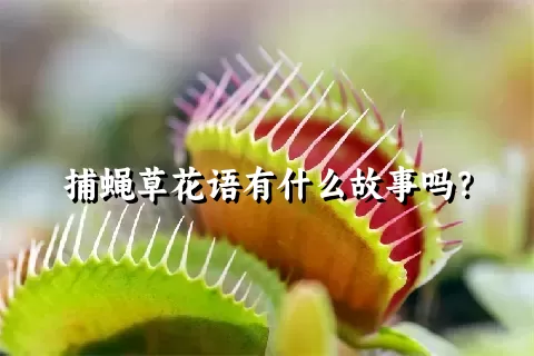 捕蝇草花语有什么故事吗？