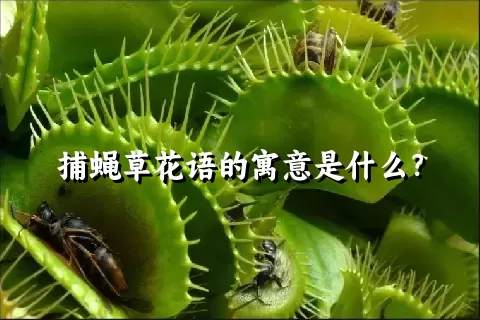 捕蝇草花语的寓意是什么？