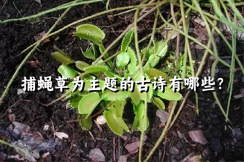 捕蝇草为主题的古诗有哪些？