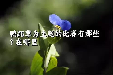 鸭跖草为主题的比赛有那些？在哪里