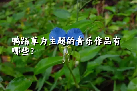 鸭跖草为主题的音乐作品有哪些？