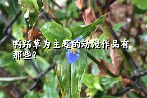 鸭跖草为主题的动漫作品有那些？