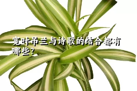 宽叶吊兰与诗歌的结合都有哪些？