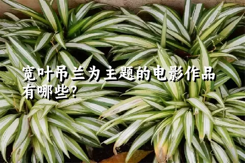 宽叶吊兰为主题的电影作品有哪些？