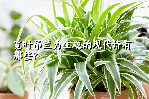 宽叶吊兰为主题的现代诗有那些？