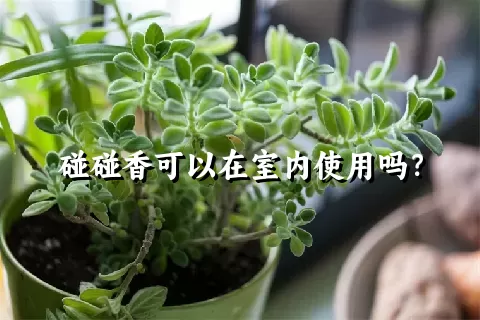 碰碰香可以在室内使用吗？