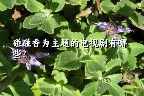 碰碰香为主题的电视剧有哪些？