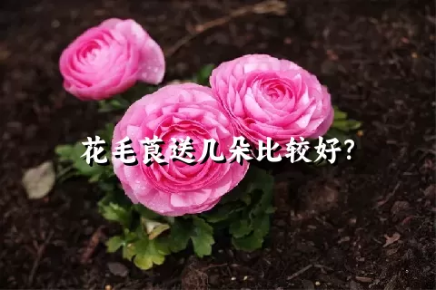 花毛莨送几朵比较好？