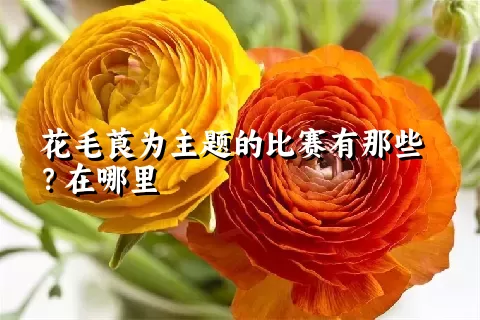 花毛莨为主题的比赛有那些？在哪里