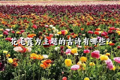 花毛莨为主题的古诗有哪些？