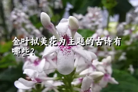 金叶拟美花为主题的古诗有哪些？