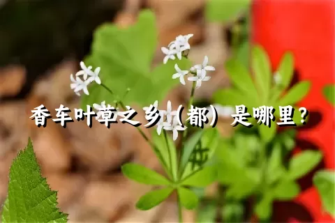 香车叶草之乡（都）是哪里？