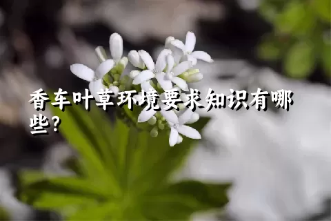 香车叶草环境要求知识有哪些？