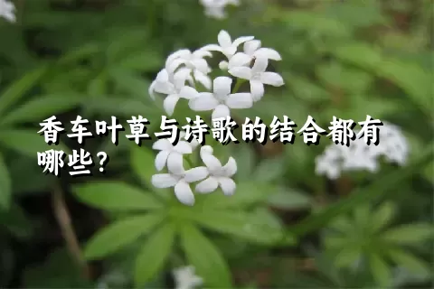 香车叶草与诗歌的结合都有哪些？