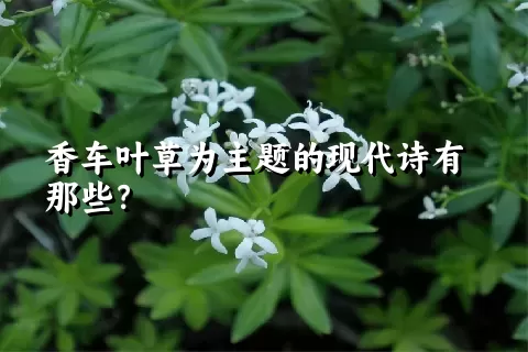 香车叶草为主题的现代诗有那些？