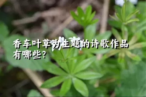 香车叶草为主题的诗歌作品有哪些？