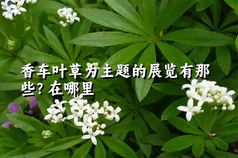 香车叶草为主题的展览有那些？在哪里