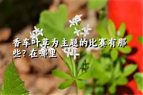 香车叶草为主题的比赛有那些？在哪里