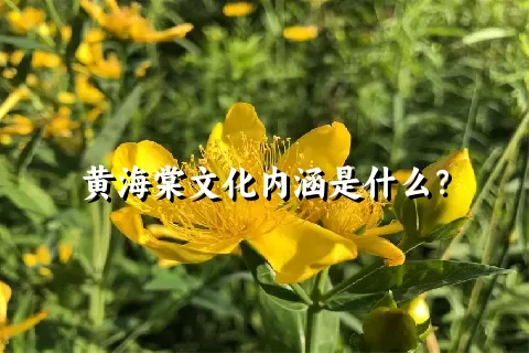 黄海棠文化内涵是什么？