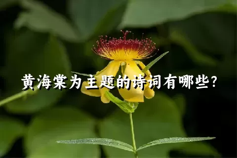 黄海棠为主题的诗词有哪些？