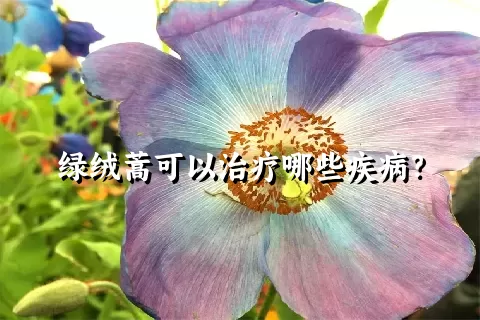 绿绒蒿可以治疗哪些疾病？