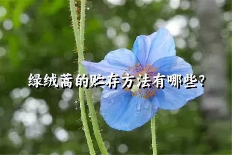 绿绒蒿的贮存方法有哪些？