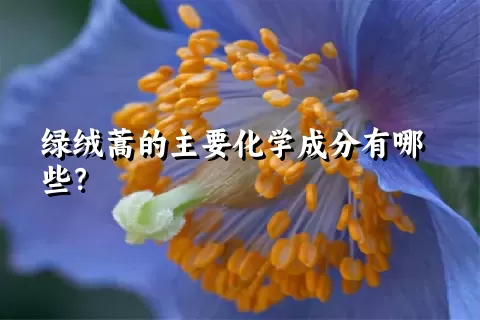 绿绒蒿的主要化学成分有哪些？