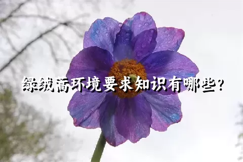 绿绒蒿环境要求知识有哪些？