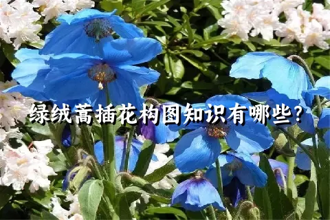 绿绒蒿插花构图知识有哪些？