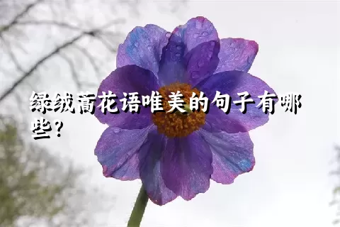 绿绒蒿花语唯美的句子有哪些？