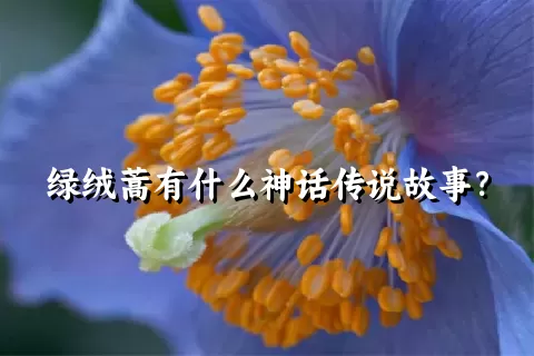 绿绒蒿有什么神话传说故事？