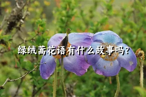 绿绒蒿花语有什么故事吗？