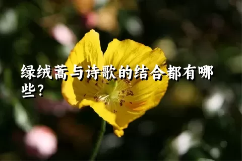 绿绒蒿与诗歌的结合都有哪些？