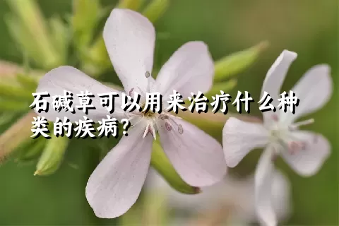 石碱草可以用来治疗什么种类的疾病？