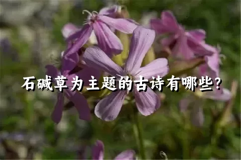 石碱草为主题的古诗有哪些？