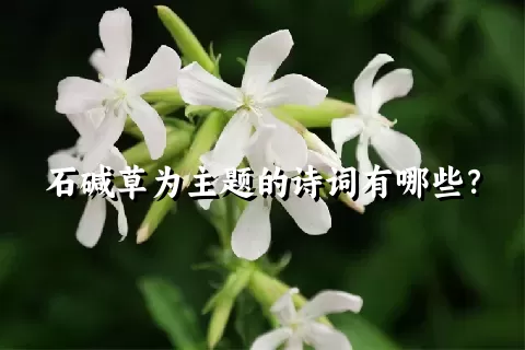 石碱草为主题的诗词有哪些？