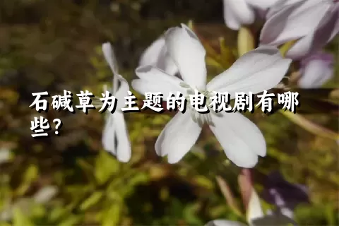 石碱草为主题的电视剧有哪些？