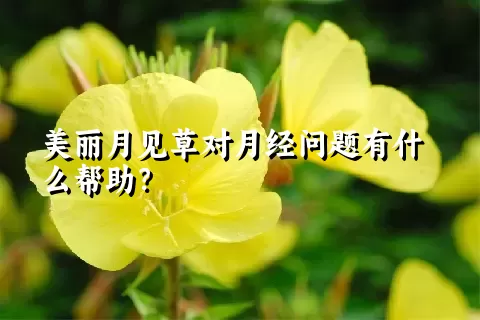 美丽月见草对月经问题有什么帮助？