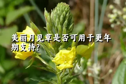 美丽月见草是否可用于更年期支持？