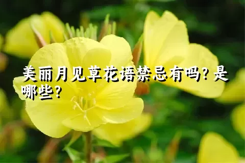 美丽月见草花语禁忌有吗？是哪些？