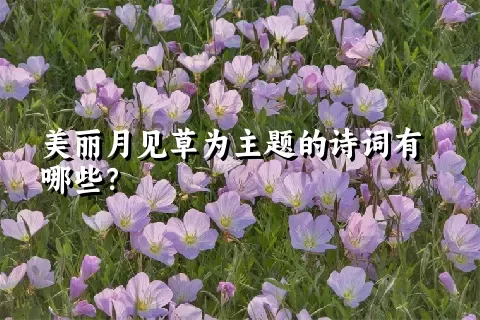 美丽月见草为主题的诗词有哪些？