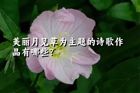 美丽月见草为主题的诗歌作品有哪些？