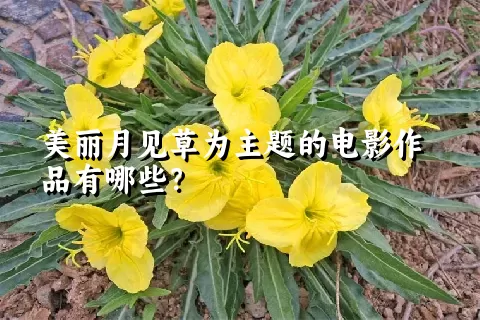 美丽月见草为主题的电影作品有哪些？