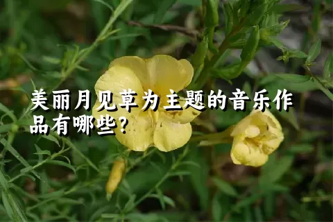 美丽月见草为主题的音乐作品有哪些？