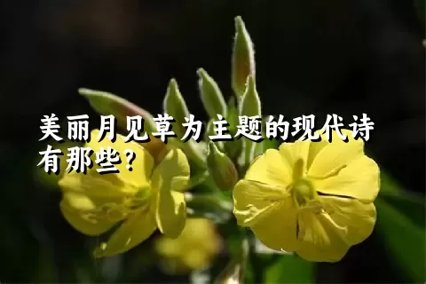 美丽月见草为主题的现代诗有那些？