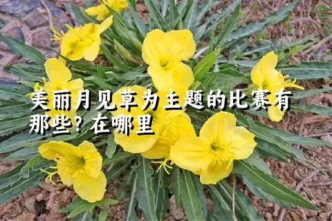 美丽月见草为主题的比赛有那些？在哪里